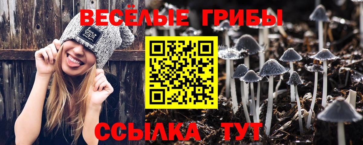 Галлюциногенные грибы GOLDEN TEACHER  Вход с VPN  Псилоцибиновые грибы Psilocybine cubensis  Усолье-Сибирское 